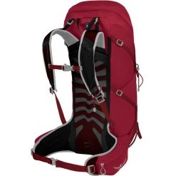 Osprey Backpacks TALON 36