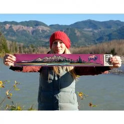 Hydrascape Accessories INFINITY STICKERS